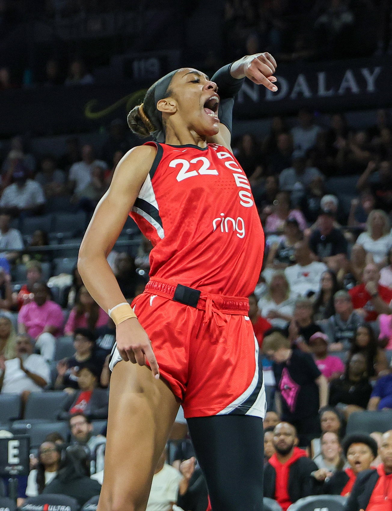 炸裂！阿贾-威尔逊赛季22次砍至少20分15板 超查尔斯独占历史第一